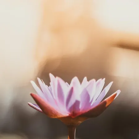 Breathe Bajamar باجامار